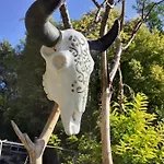 La Aux Loups *