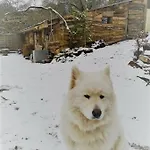 Σαλέ La Aux Loups