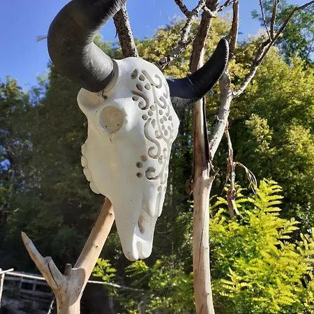La Aux Loups *