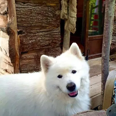 La Aux Loups 木屋 瓦卢瓦地区克雷皮