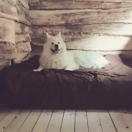 Chalet La Aux Loups