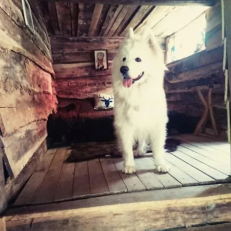 La Aux Loups 木屋 瓦卢瓦地区克雷皮