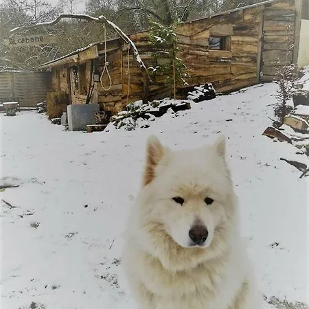 Chalet La Aux Loups