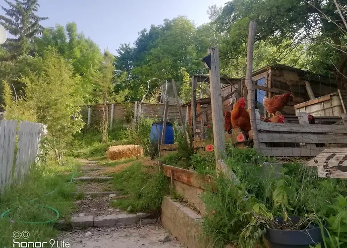 La Aux Loups 瓦卢瓦地区克雷皮